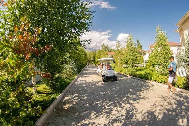 Аврора плюс 13