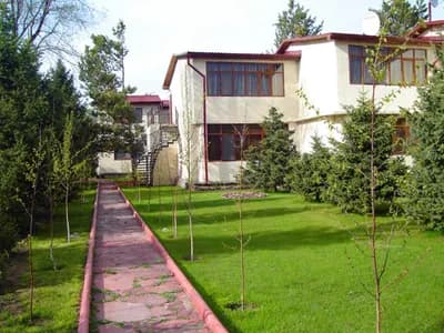 Мурок Плюс 5