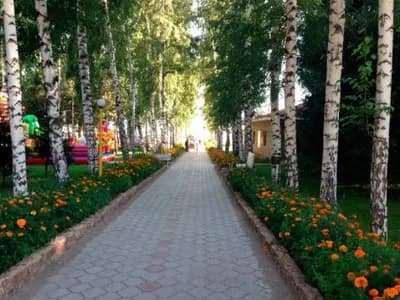 Солемар 7