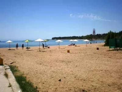 Тулпар 2