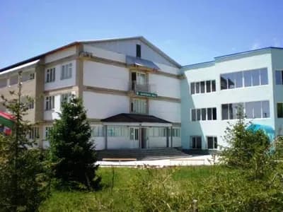 Тулпар 4