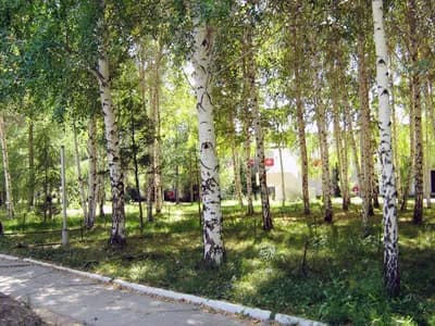 Вояж 7